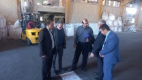 تامین 55 درصد کود سولفات پتاسیم کشور در استان سمنان؛ بازدید از شرکت مروارید ارس باران