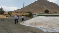 عملیات ایجاد پوشش مناسب بر روی دپو بذور در سایت بوجاری استان چهارمحال وبختیاری