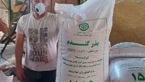 آغاز بوجاری بذور گندم؛گامی برای تامین کشت پاییزه استان سمنان