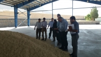 بازدید مدیران ستادی و استانی از سایت بوجاری شرکت خدمات حمایتی کشاورزی استان چهارمحال وبختیاری