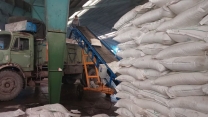 حسن همتی مدیر شرکت خدمات حمایتی کشاورزی استان گیلان خبر داد: تامین کود پتاس به میزان 120 تن برای کشاورزان گیلان