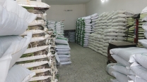 تامین بیش از 196 تن بذر گواهی شده شلتوک برنج در مازندران