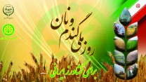 شرکت خدمات حمایتی کشاورزی، یاری‌گر کشاورزان ایرانی برای تولید پایدار گندم  و خودکفائی کشور