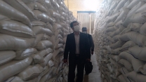 ذخیره‌سازی 19 هزار تن کودهای شیمیایی یارانه‌ای در شرکت خدمات حمایتی کشاورزی استان همدان