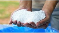 بارگیری کودبه مقصد کارگزاران تازه کند شهرستان پارس آباد 