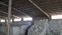 برای کارگزاران شهرستان ارزوئیه میزان 3628 تن کود یارانه ای تامین شده است