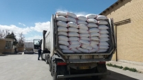 توزیع بیش از 2 هزار و615 تن کودهای ازته -فسفاته وپتاسه در شهرستان لردگان 