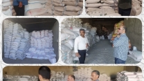 پایش کارگزاران شهرستان روانسر استان کرمانشاه انجام شد