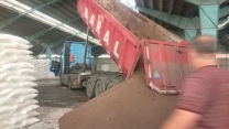 نقش کلیدی کودهای ازت، فسفات و پتاس در ارتقای بهره‌وری کشاورزی شهرستان رودسر