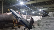 افزایش بهره‌وری باغات کیوی گیلان با تأمین بیش از ۲۲۷۲ تن کود