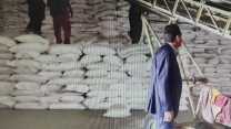 بازدید مدیر شرکت خدمات حمایتی کشاورزی استان سیستان وبلوچستان از انبار سازمانی شهرستان زاهدان 