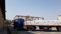 میزان 750 تن کود کشاورزی پتاس برای کشاورزان استان کرمانشاه  تامین وتوزیع شد