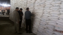 نمونه گیری کودسولفات آمونیم دراستان کرمانشاه