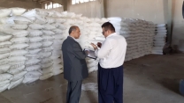 بازدید مدیر شرکت خدمات حمایتی کشاورزی استان از انبار کارگزاران به مناسبت هفته دولت