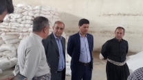 بازدید مدیر استان از انبارهای کارگزاران بخش مرکزی شهرستان دیواندره