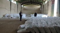 بازدید اکیپ پایش شرکت خدمات حمایتی کشاورزی استان آذربایجان غربی از انبار کارگزاران پلدشت
