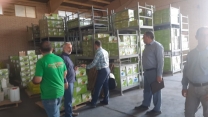 بازدید کارگروه پایش کود استان از واحد تولیدی بنیز تجهیز نهاده ایوانکی