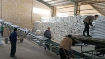 رشد توزیع کودهای کشاورزی در مرکز استان یزد