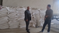 بازدید مدیر شرکت خدمات حمایتی کشاورزی استان کردستان از انبار سازمانی شهرستان بیجار