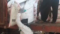 تامین کوداوره ازمبدامسجدسلیمان به مقصد کارگزاری آقای فاتحی شهرستان کامیاران