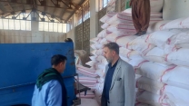 باز دید وپایش کارگزاران شهرستان صحنه