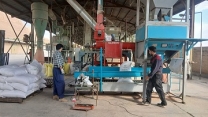 آغاز عملیات بوجاری بذور گندم و جو در سایت‌های بوجاری شرکت خدمات حمایتی کشاورزی استان چهارمحال و بختیاری 