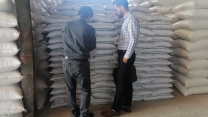 عملیات نمونه برداری ازکودهای تولید داخل 