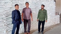 بازدید  مدیر شرکت خدمات حمایتی  کشاورزی  استان  از انبار چای بوئین  گنبد
