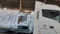 از ابتدای سال جاری تا پایان خرداد ماه سال1404مقدار 600تن کود اوره در بین کشاورزان شهرستان پیشوا توزیع گردید 