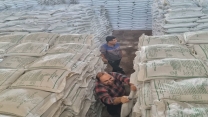 تأمین و توزیع 4770 تن کود کشاورزی به شهرستان شوش در سه ماه ابتدای سال‌جاری