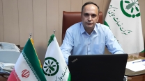  ابلاغ برنامه کشت گندم در سال زراعی جدید استان قزوین 