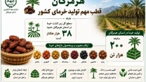 ۲۵ شهریور، روز ملی خرما؛ تداوم حمایت کودی از نخلداران هرمزگان