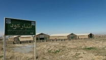 تدارک  و توزیع انواع کودهای شیمیایی در شهرستان ساوه در مرداد ماه 1402