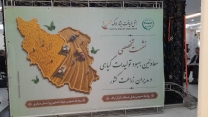 استان مرکزی میزبان دو روزه نشست تخصصی معاونان بهبود تولیدات گیاهی و مدیران زراعت کشور