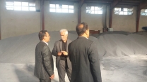 تامین بیش از 6 هزارتن انواع  کودهای کشاورزی (ازته ،فسفاته وپتاسه ) در انبارهای ذخیره شرکت خدمات حمایتی کشاورزی لرستان 