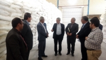 بازدید مهندس ملازاده و هیات همراه از مجتمع انبارهای شرکت خدمات حمایتی کشاورزی خراسان جنوبی