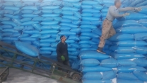 تامین و توزیع بیش از 900 تن انواع کود شیمیایی در شهرستان اشنویه  (دو ماه ابتدایی 1402)